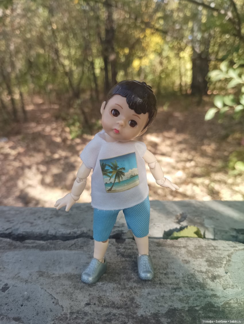 По дороге домой — Игровые куклы разных производителей (Разное): редкие бренды