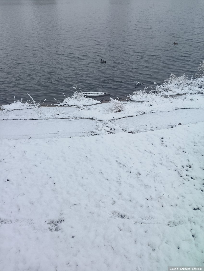 Снежный день — Разные шарнирные куклы (не БЖД): редкие (фото 4)