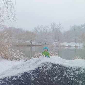 Снежный день