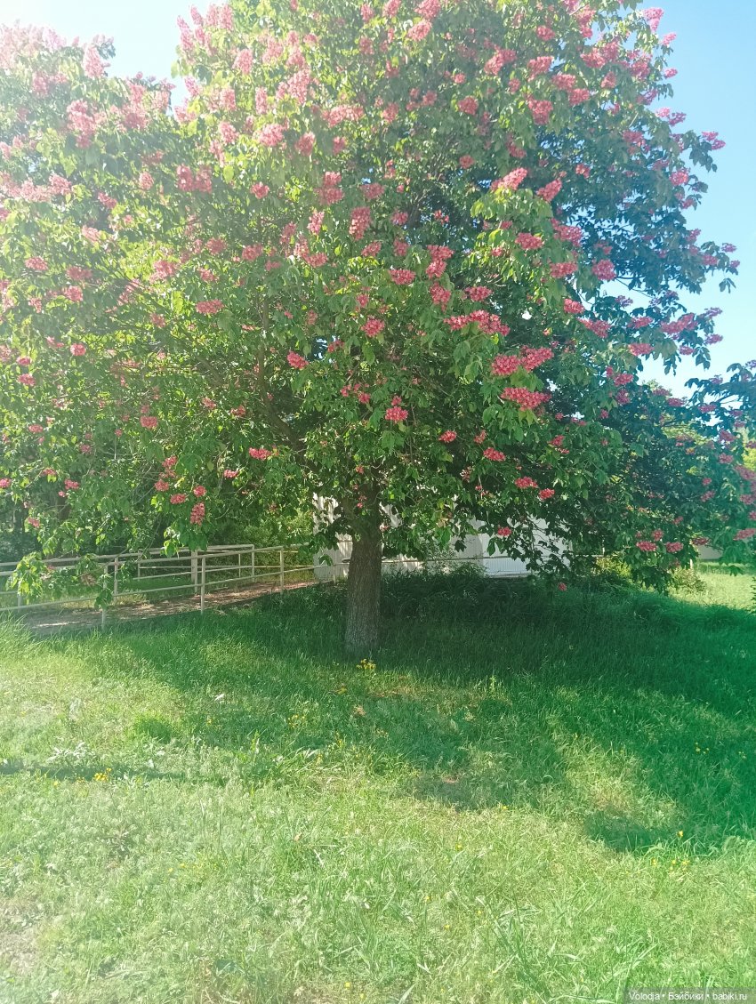 Променад 2 — Игровые куклы разных производителей (Разное): редкие бренды