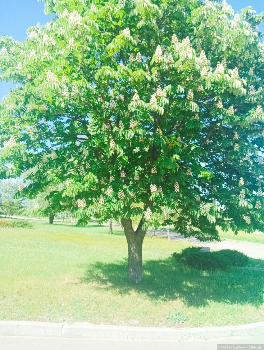 Променад 2 — Игровые куклы разных производителей (Разное): редкие бренды