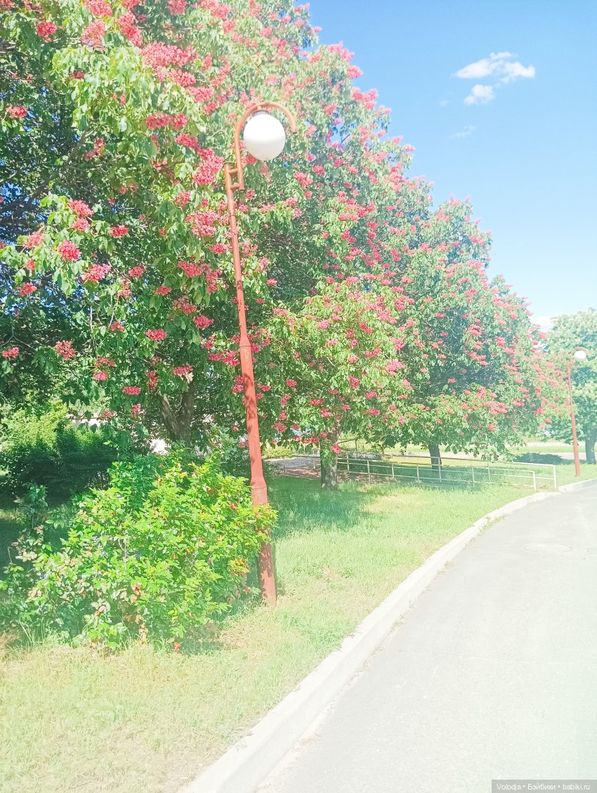 Променад 2 — Игровые куклы разных производителей (Разное): редкие бренды