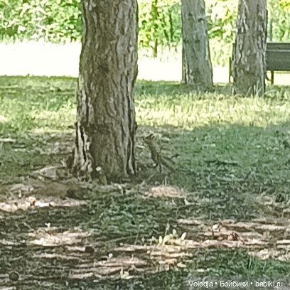 Променад 2 — Игровые куклы разных производителей (Разное): редкие бренды