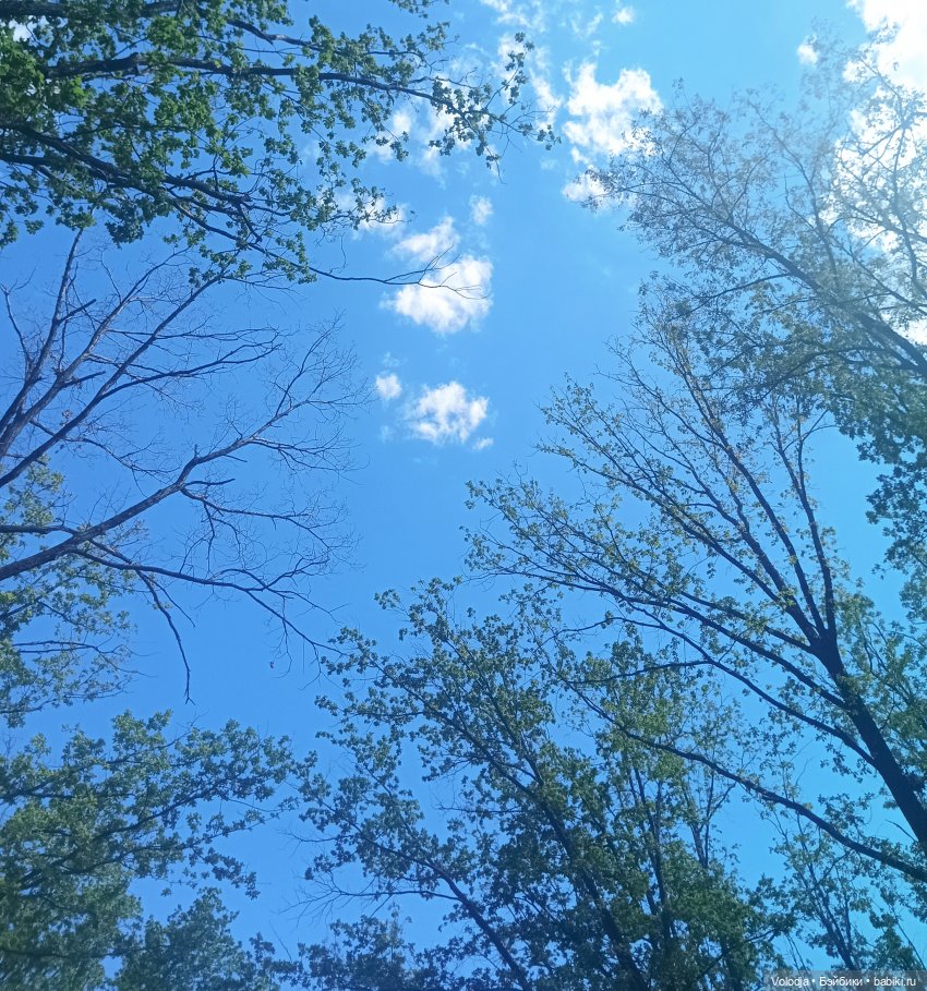 Променад 2 — Игровые куклы разных производителей (Разное): редкие бренды (фото 3)