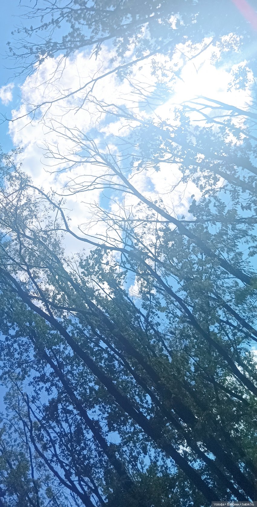 Променад 2 — Игровые куклы разных производителей (Разное): редкие бренды (фото 2)