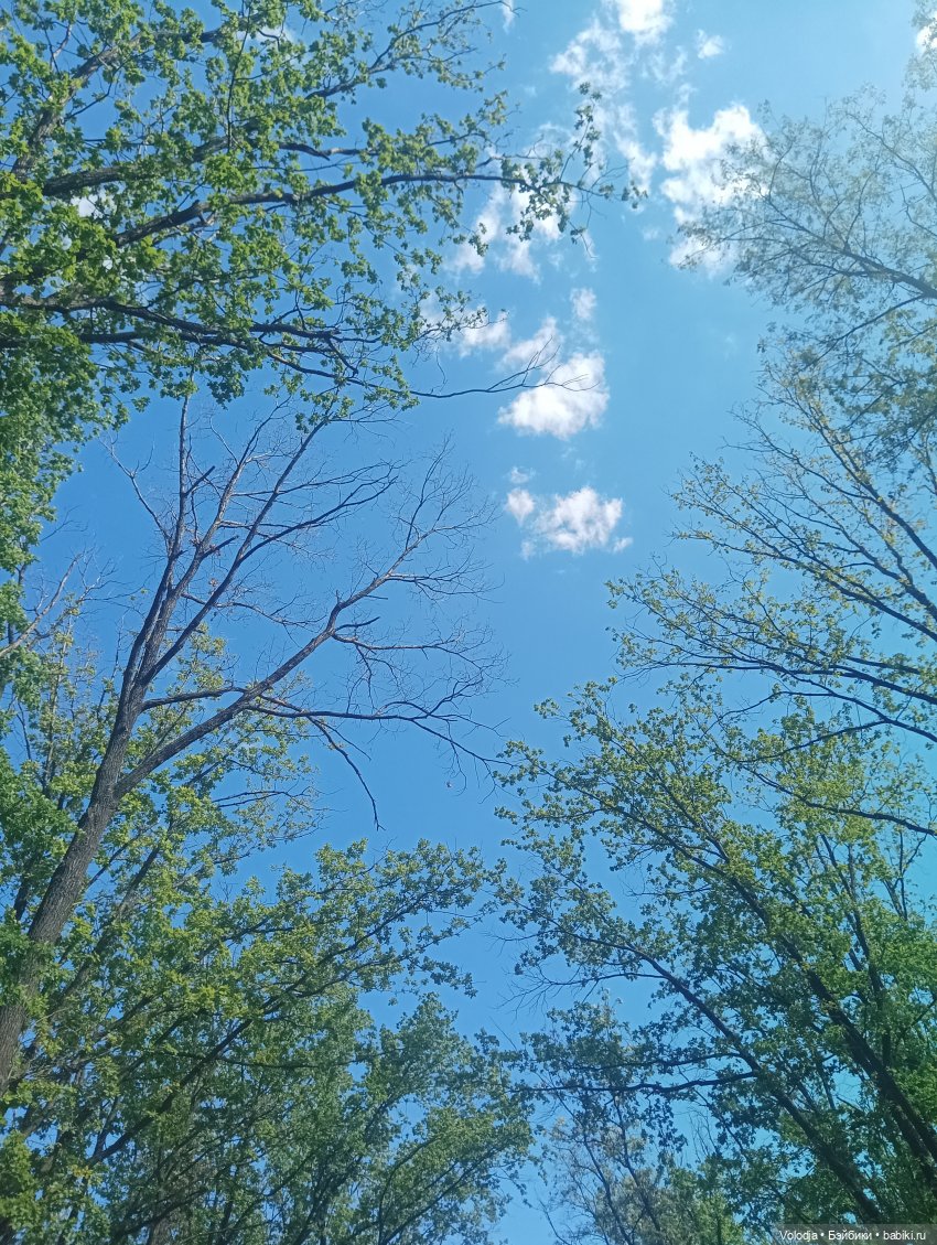 Променад 2 — Игровые куклы разных производителей (Разное): редкие бренды (фото 4)