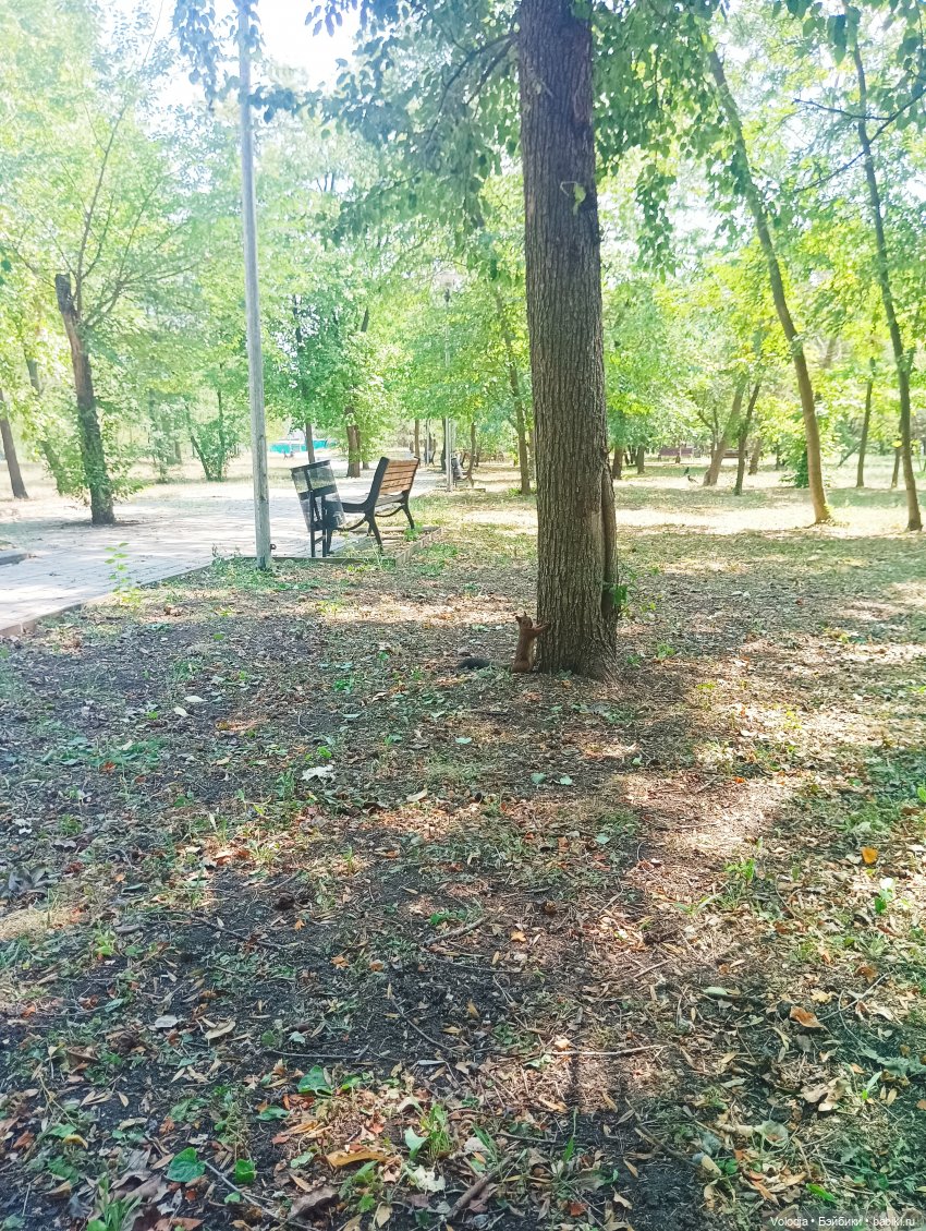 Донецк, парк Ленинского комсомола, Поляна сказок (фото 9)