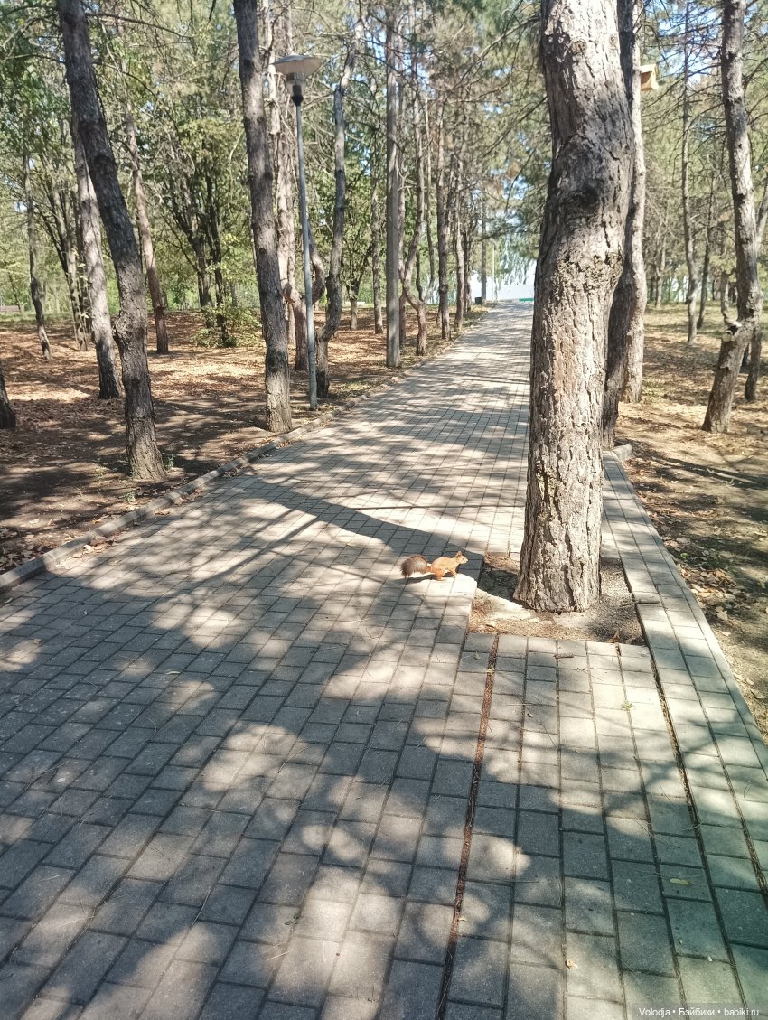 Донецк, парк Ленинского комсомола, Поляна сказок (фото 7)