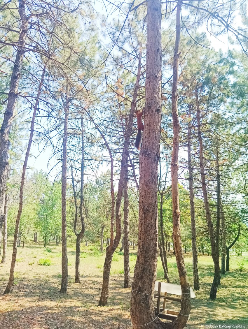 Донецк, парк Ленинского комсомола, Поляна сказок (фото 3)