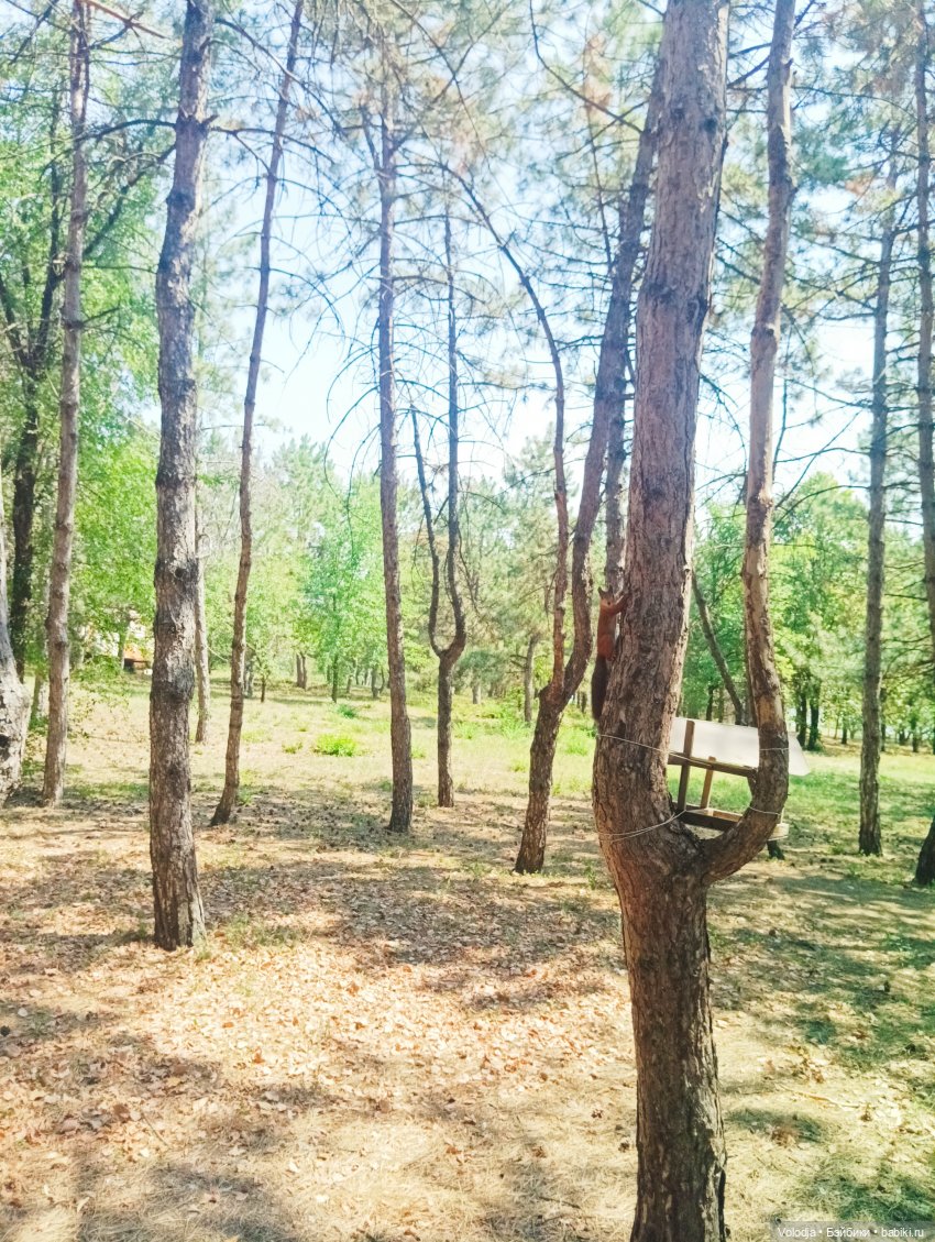 Донецк, парк Ленинского комсомола, Поляна сказок (фото 4)