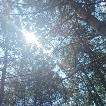 Донецк, парк Ленинского комсомола, Поляна сказок