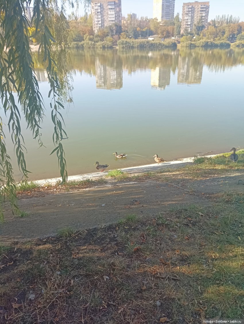 Небольшая прогулка — Гибриды шарнирных кукол (не БЖД): подбор тела (фото 2)