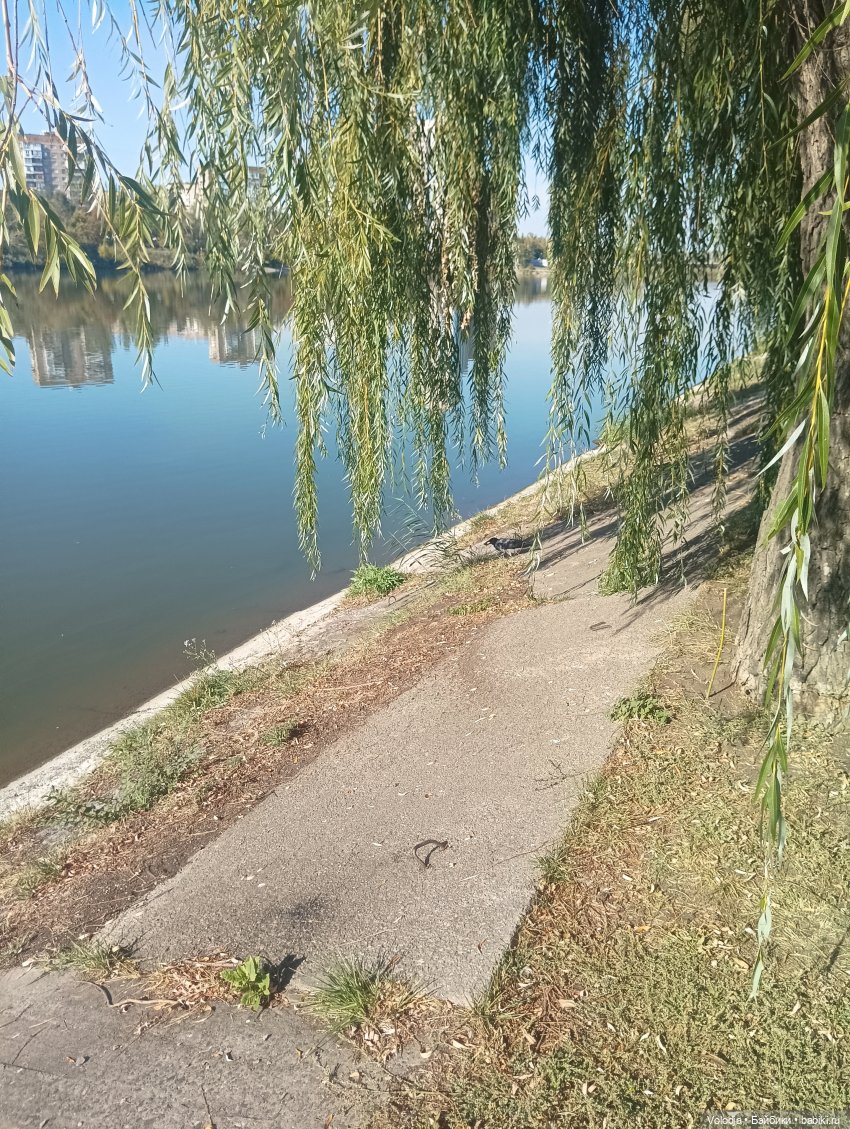 Небольшая прогулка — Гибриды шарнирных кукол (не БЖД): подбор тела