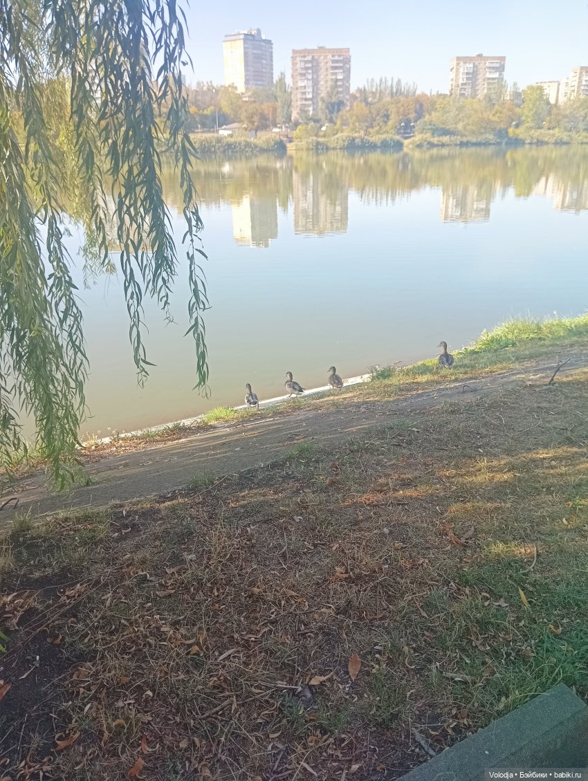 Небольшая прогулка — Гибриды шарнирных кукол (не БЖД): подбор тела (фото 3)