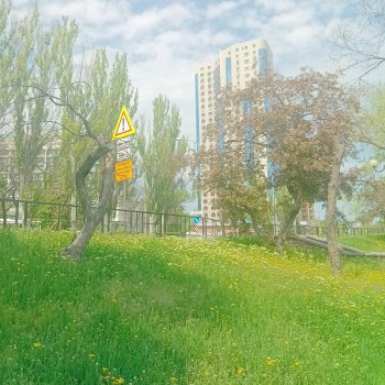 Небольшая прогулка 2