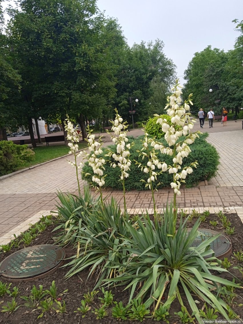 Совсем чуть-чуть — Прочие игровые куклы для девочек (фото 8)