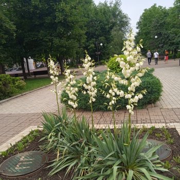 Совсем чуть-чуть