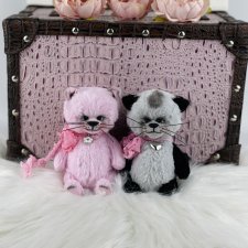 Тедди котик Марс и Китти