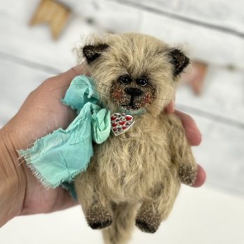 Тедди котик Барон