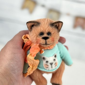 Тедди котик