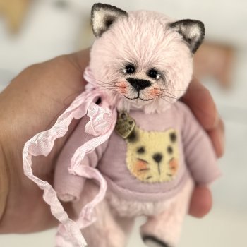 Тедди кошечка