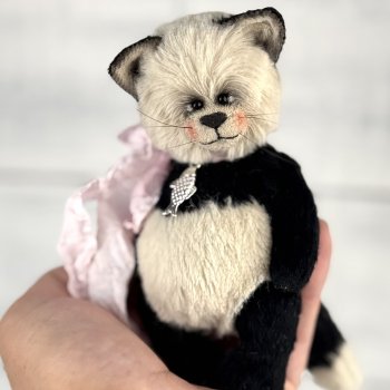 Тедди котик