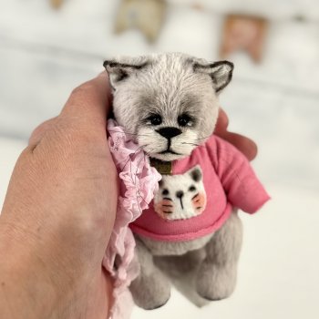 Тедди котик