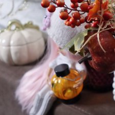 Первый Хэллоуин и новый житель