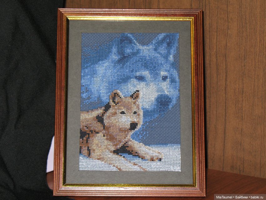 Всегда Дикий. Janlynn