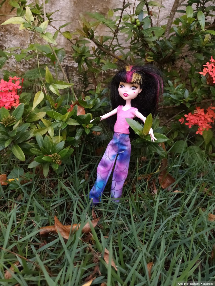 Солнце и сумерки — Игровые куклы разных производителей (Разное): редкие бренды