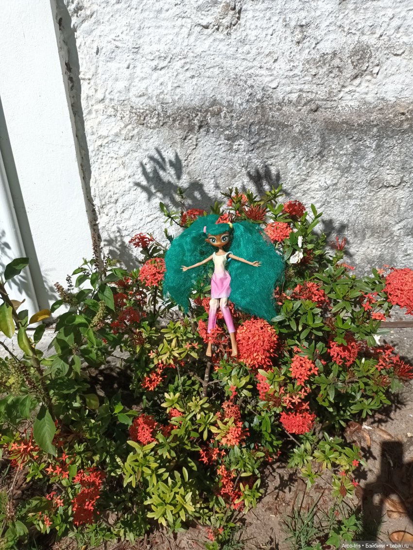 Солнце и сумерки — Игровые куклы разных производителей (Разное): редкие бренды