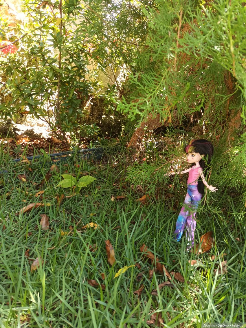 Солнце и сумерки — Игровые куклы разных производителей (Разное): редкие бренды (фото 4)