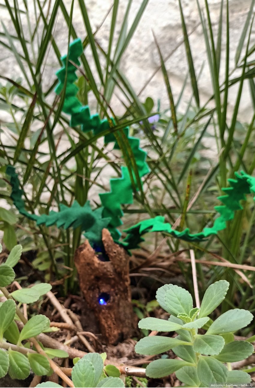 Мандрагоровы штаны — Куклы Monster High и Ever After High: G1