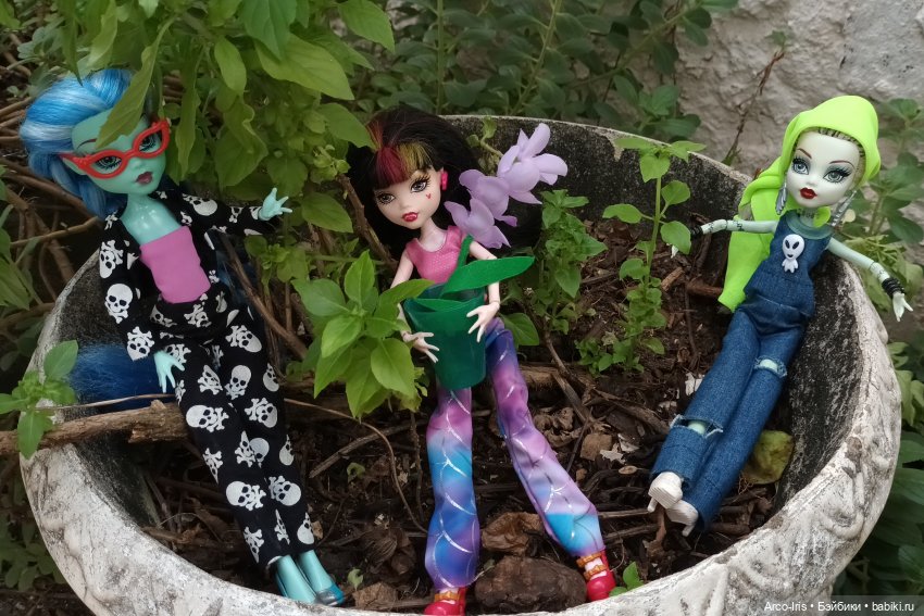 Мандрагоровы штаны — Куклы Monster High и Ever After High: G1