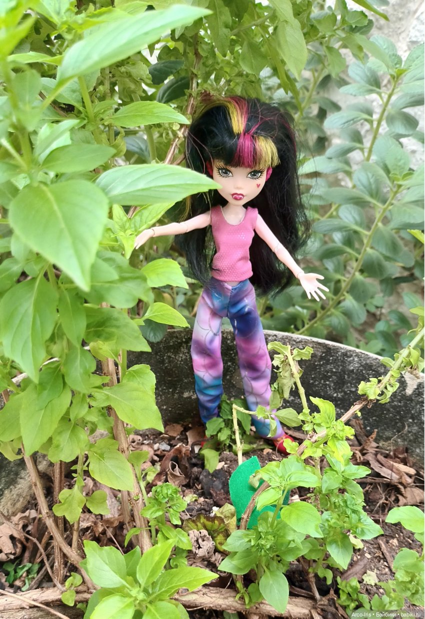 Мандрагоровы штаны — Куклы Monster High и Ever After High: G1 (фото 4)