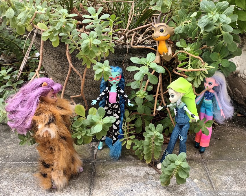 Мандрагоровы штаны — Куклы Monster High и Ever After High: G1