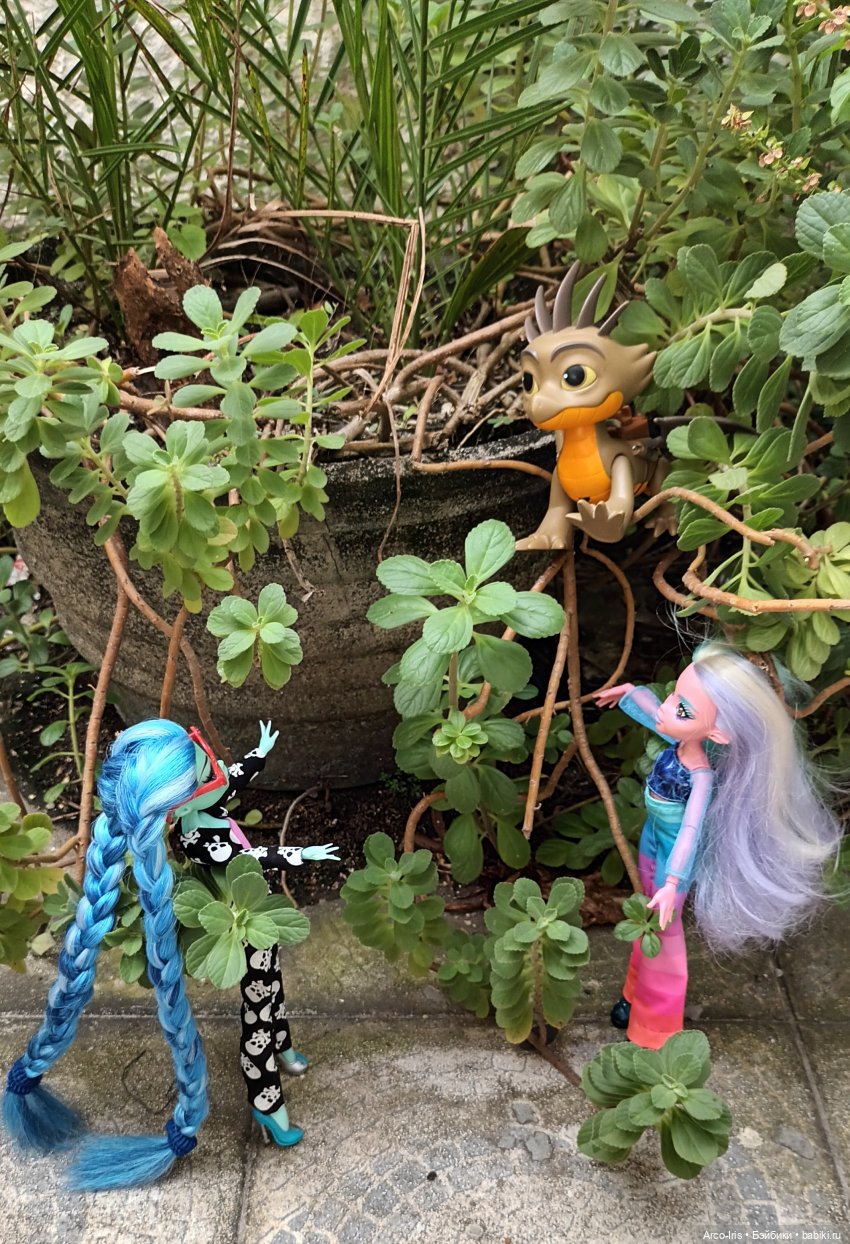 Мандрагоровы штаны — Куклы Monster High и Ever After High: G1