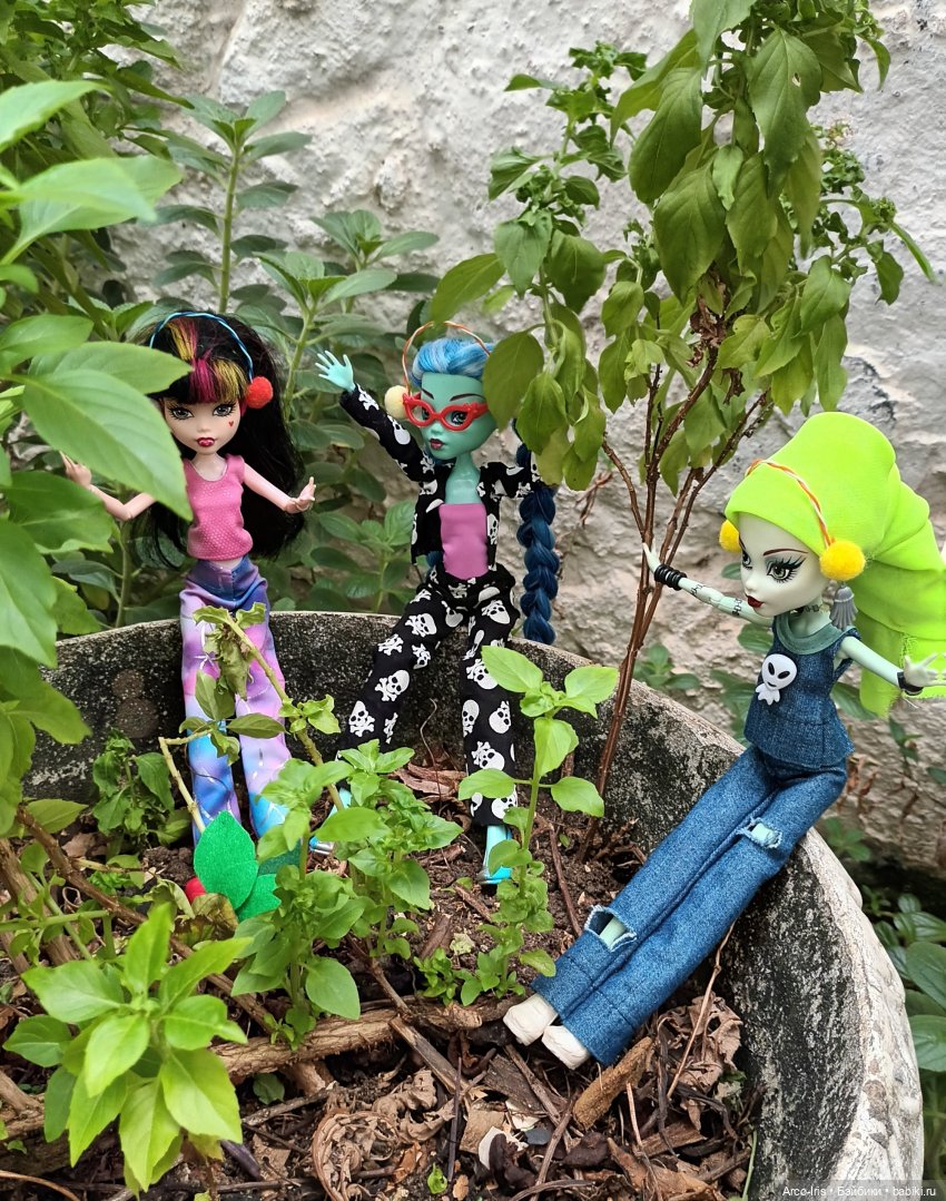 Мандрагоровы штаны — Куклы Monster High и Ever After High: G1 (фото 5)