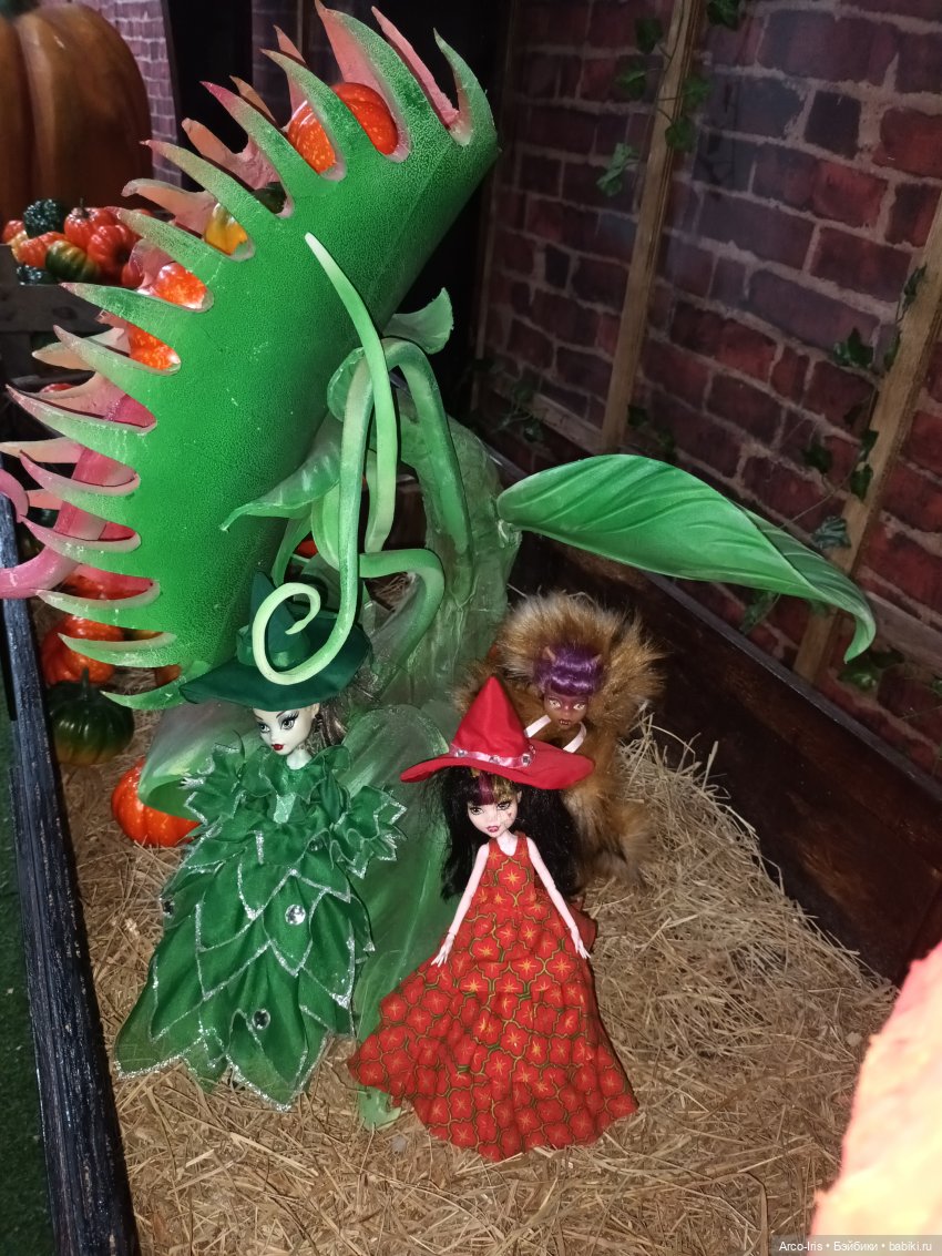 Мандрагорова теплица — Интересное и необычное: фотоподборки