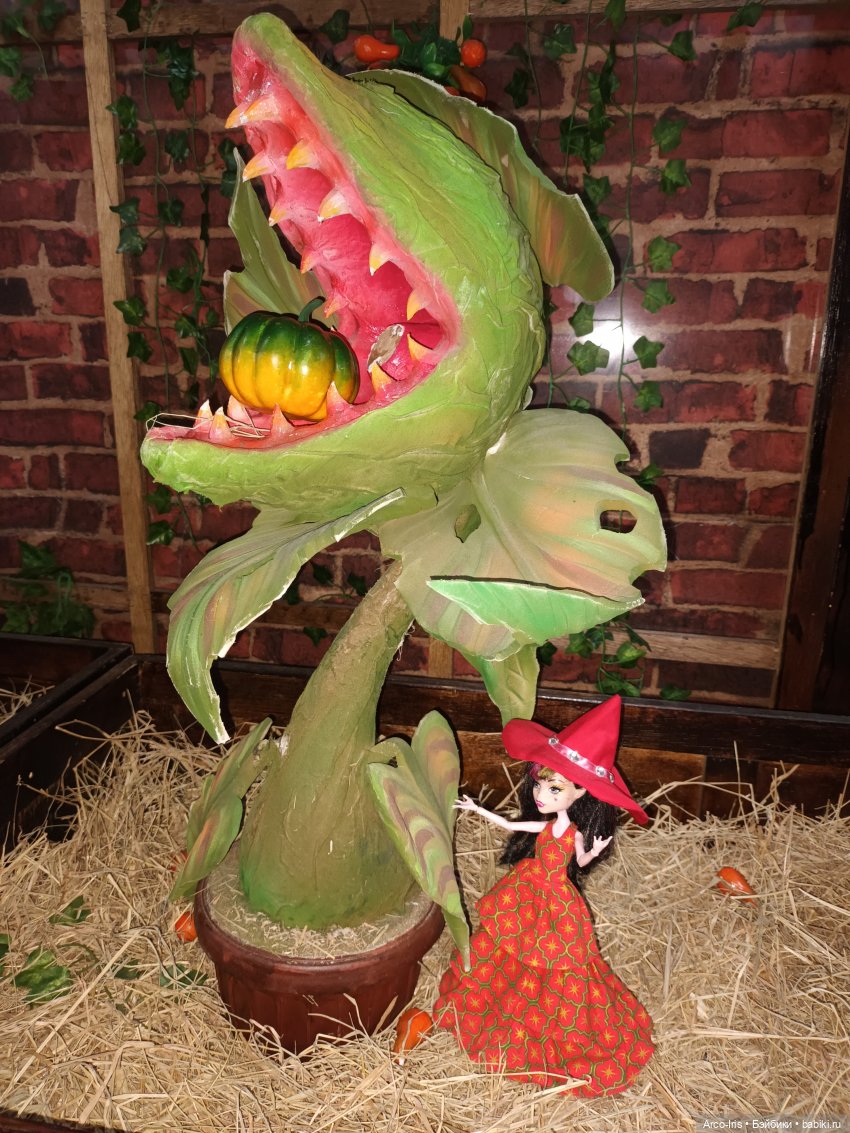 Мандрагорова теплица — Интересное и необычное: фотоподборки (фото 10)