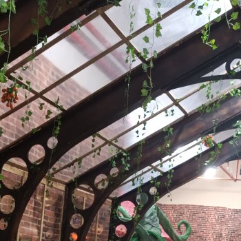 Мандрагорова теплица