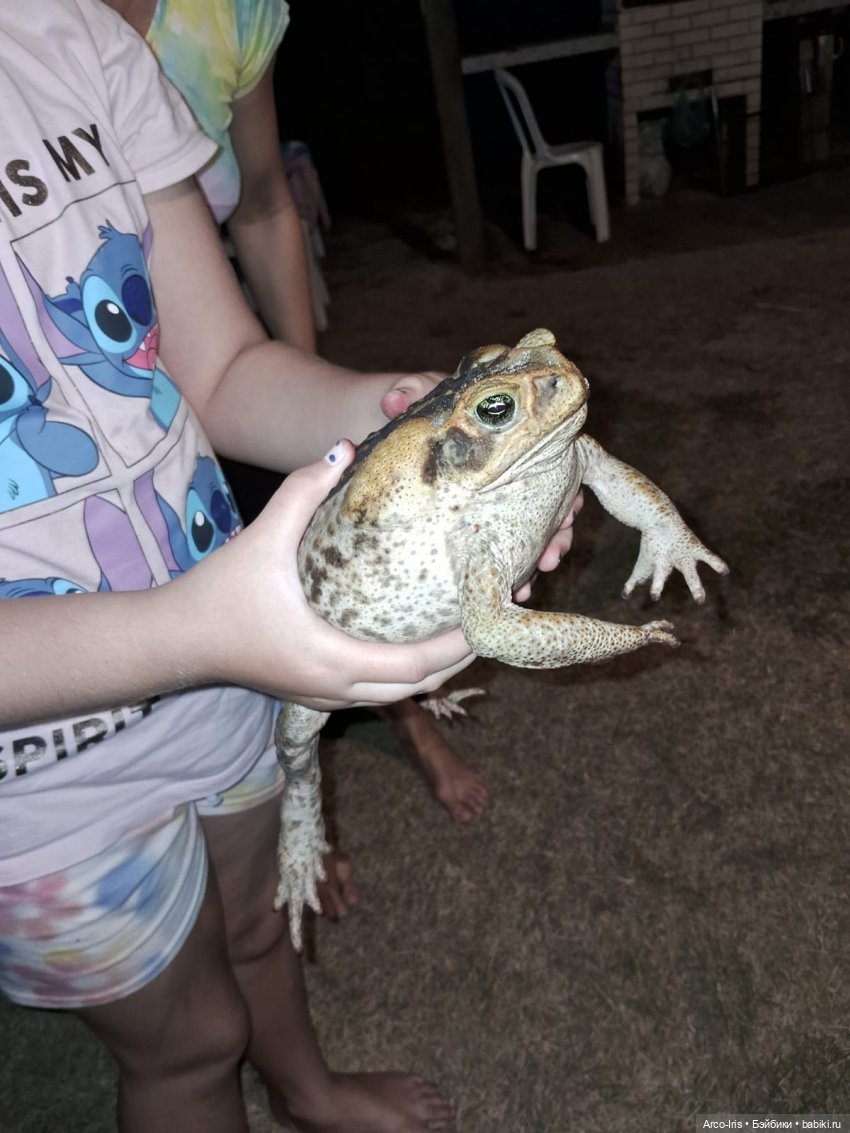 Вот, как это по-русски называется