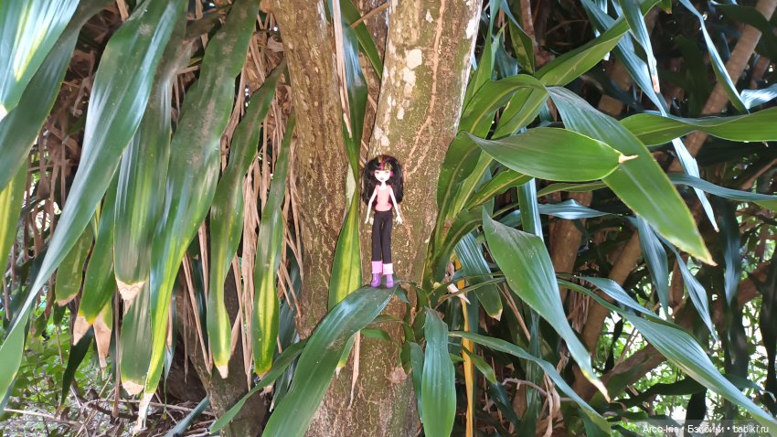 Вот, как это по-русски называется (фото 6)