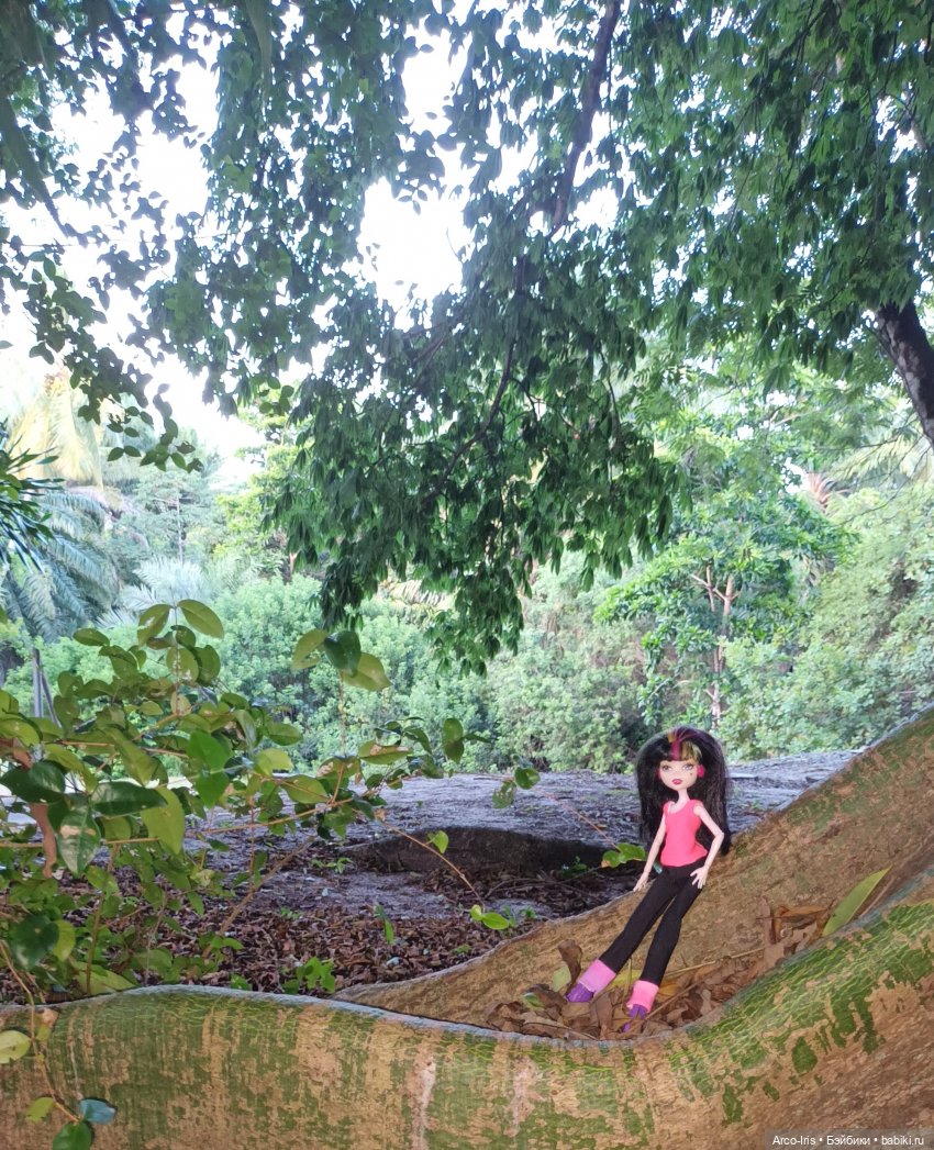 Вот, как это по-русски называется (фото 3)