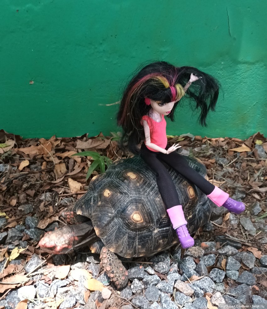 Вот, как это по-русски называется