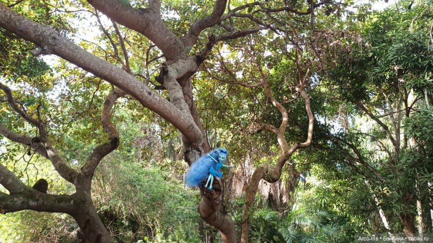 Вот, как это по-русски называется (фото 8)
