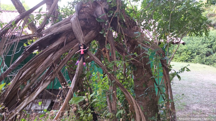 Вот, как это по-русски называется (фото 7)