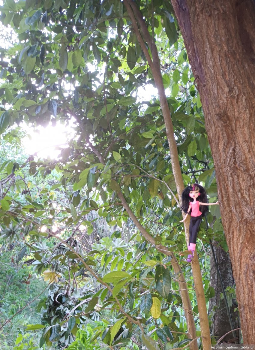 Вот, как это по-русски называется (фото 5)