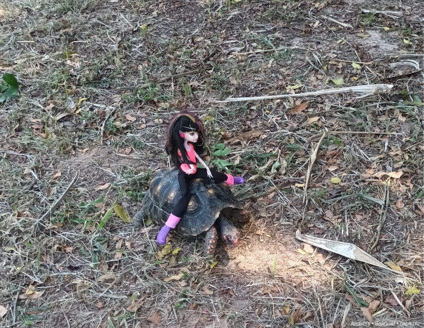 Вот, как это по-русски называется