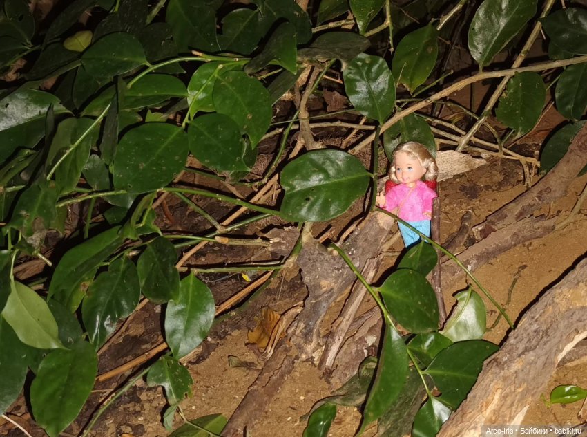 Волшебная палочка. Часть 1 (фото 2)